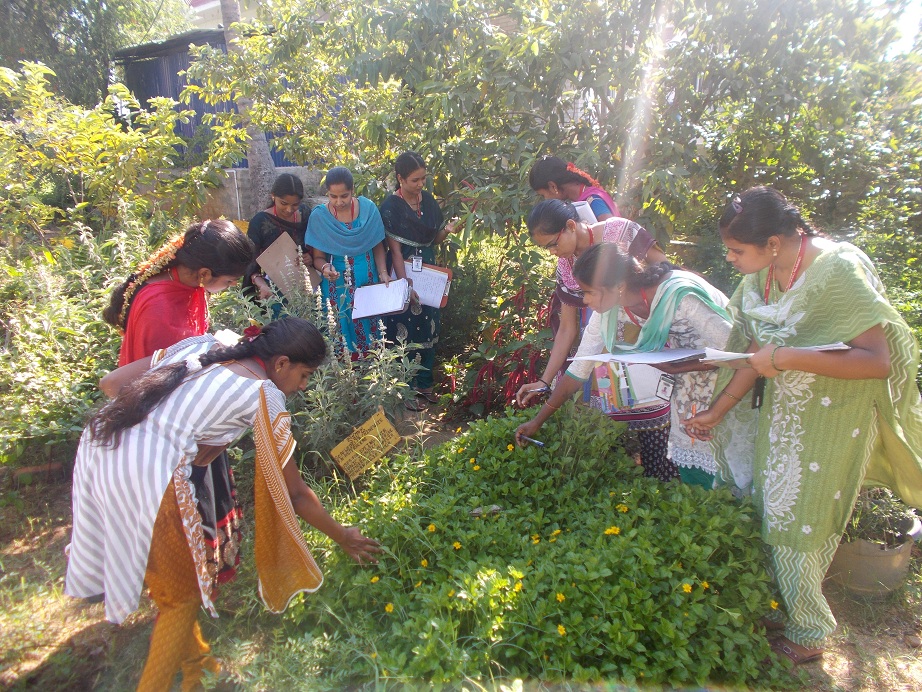 Botanical Tour 15-16